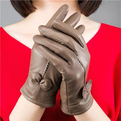 Woman Gloves Image