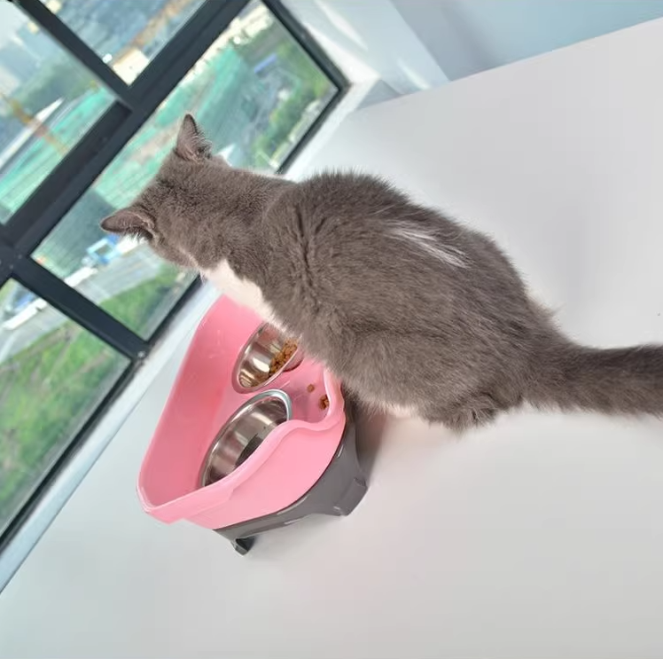 Pet food bowl Image