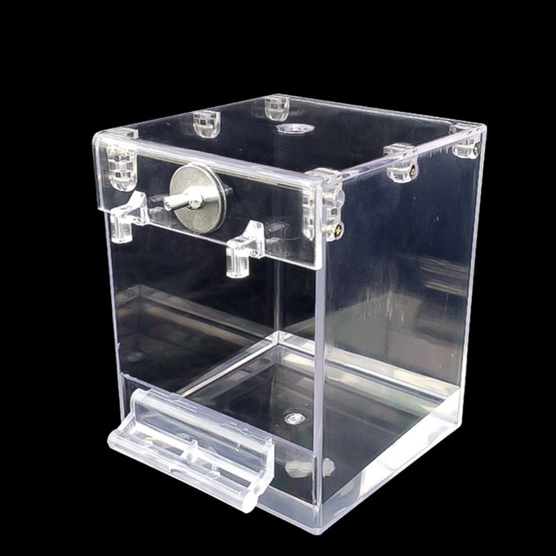 External Bird Bath Transparent Bath Square Basin Bird Supplies Pet Supplies Image