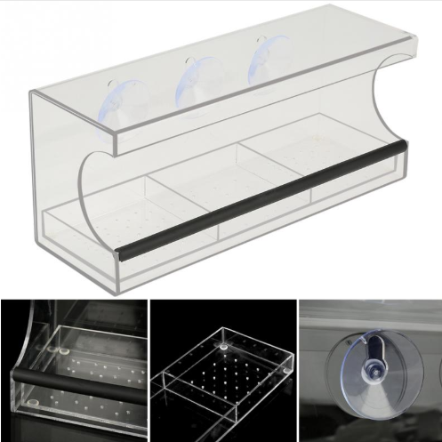 New acrylic feeder Image