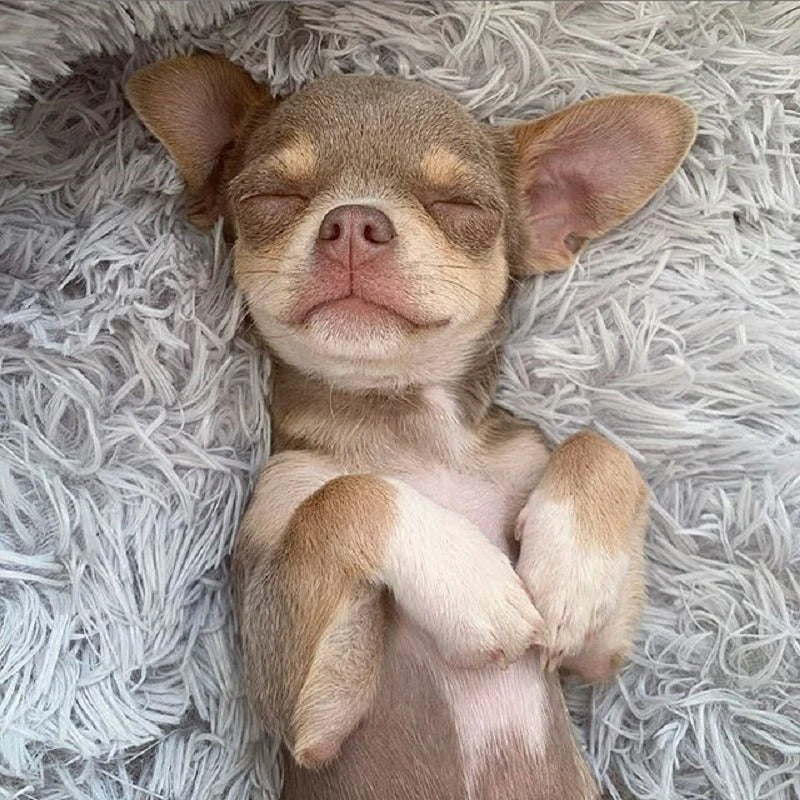 Dog Bed Super Soft Washable Long Plush Pet Kennel Deep Sleep Dog House Velvet Mats Sofa For Dog Basket Pet Cat Bed Image