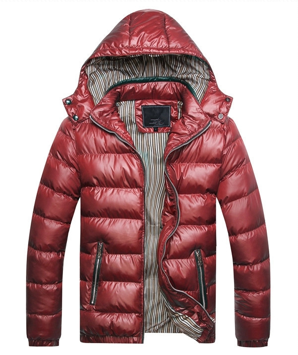 Winter Puffer Jacket Image