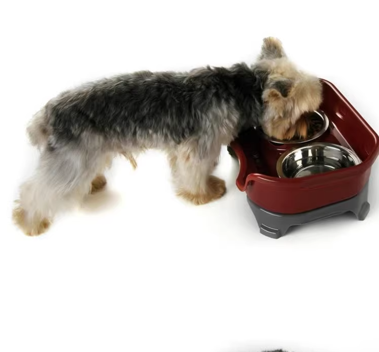 Pet food bowl Image