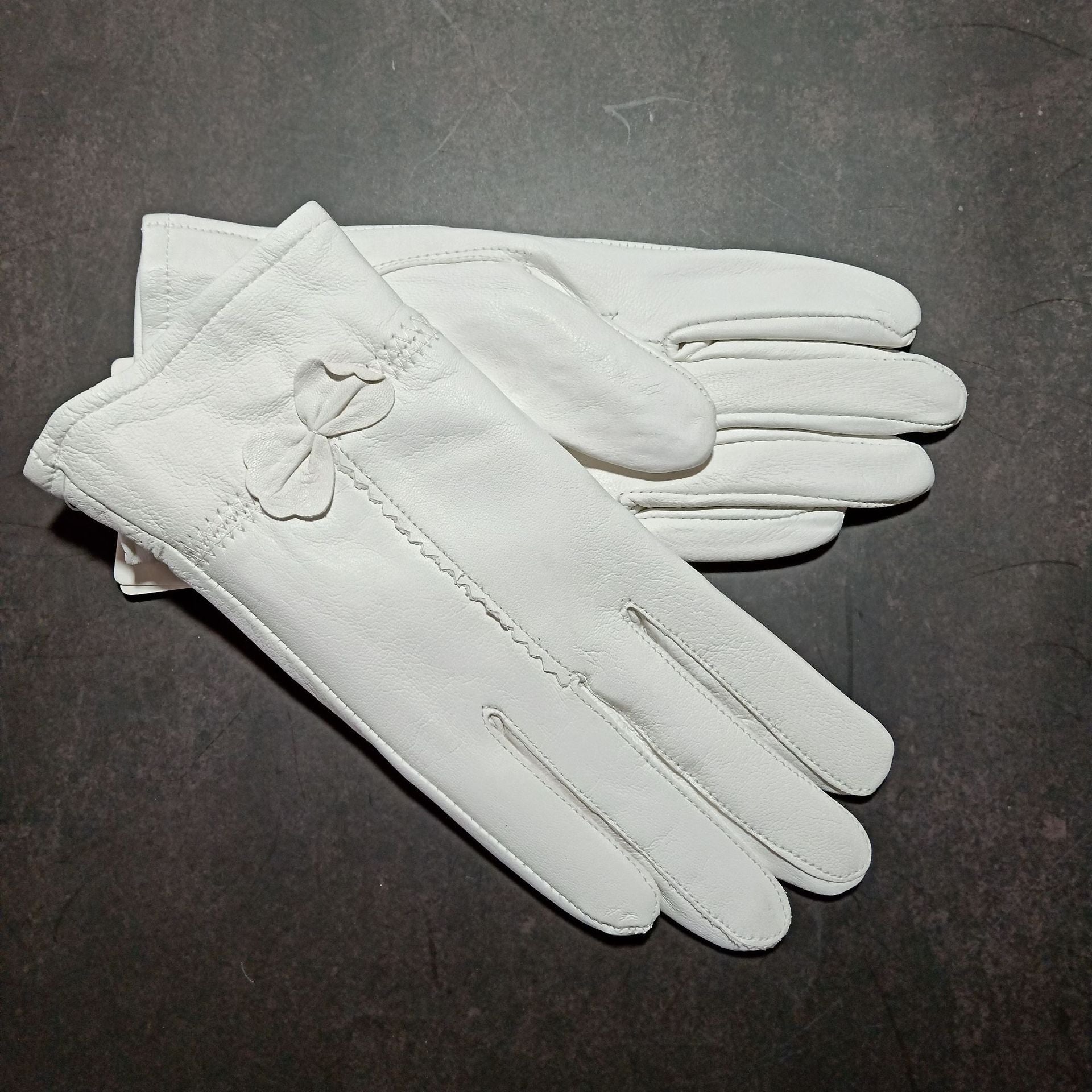 Woman Gloves Image