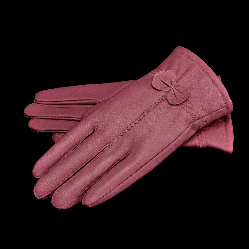 Woman Gloves Image