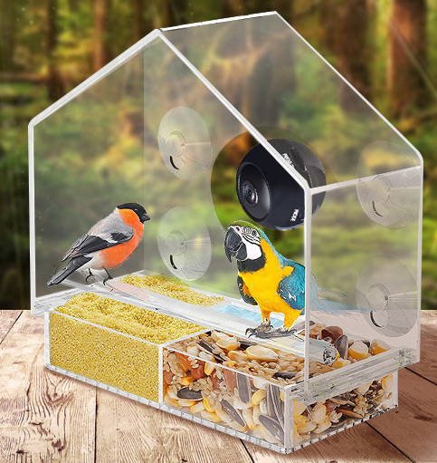 Bird Feeder Camera Live Bird Feeder Cam Bird Buddy Smart Bird Feeder With Camera Image