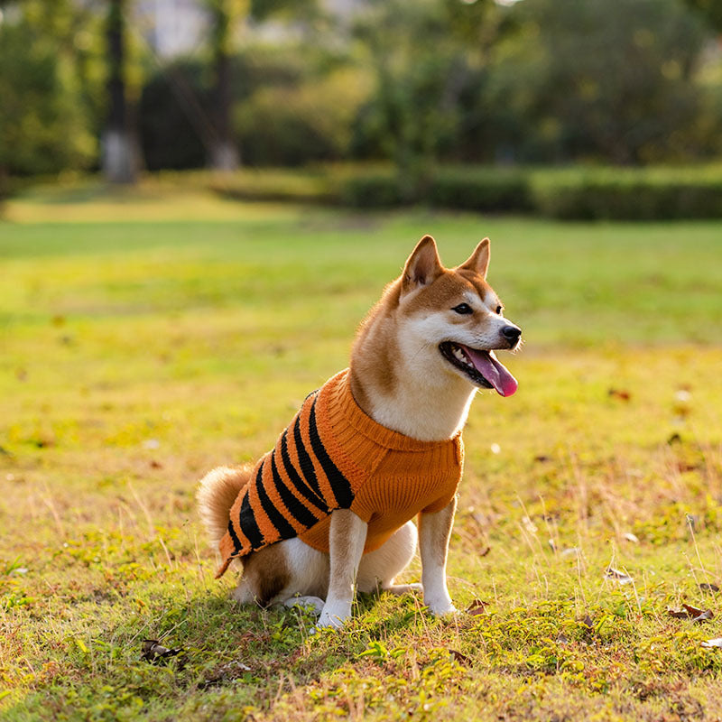 Halloween Dog Sweaters Pet Costume Teddy Warm Leisure Sweater Cosplay Clothes For Dogs Pets Outfits Image