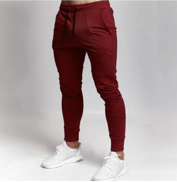 Slim Gym Pants Image