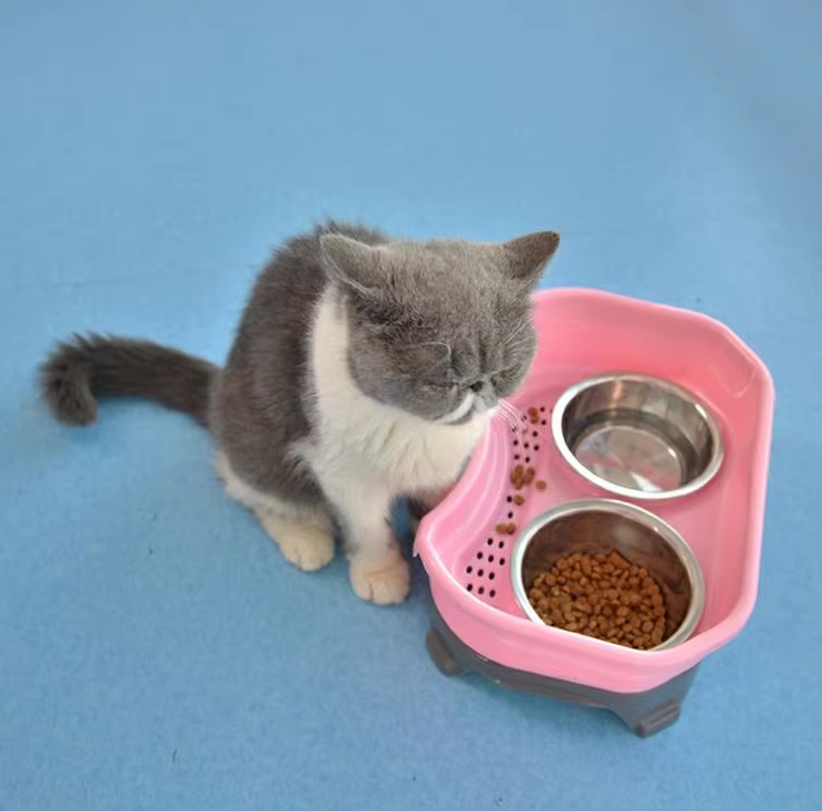 Pet food bowl Image