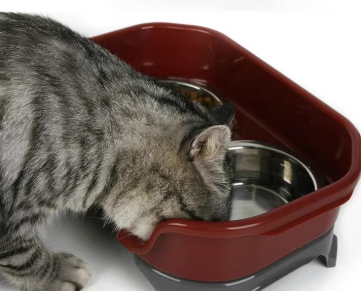 Pet food bowl Image