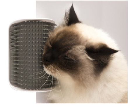 Cat Self-Grooming Brush Pet Wall Rubbing Device Image