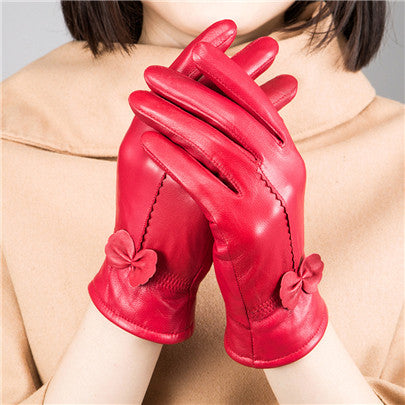 Woman Gloves Image