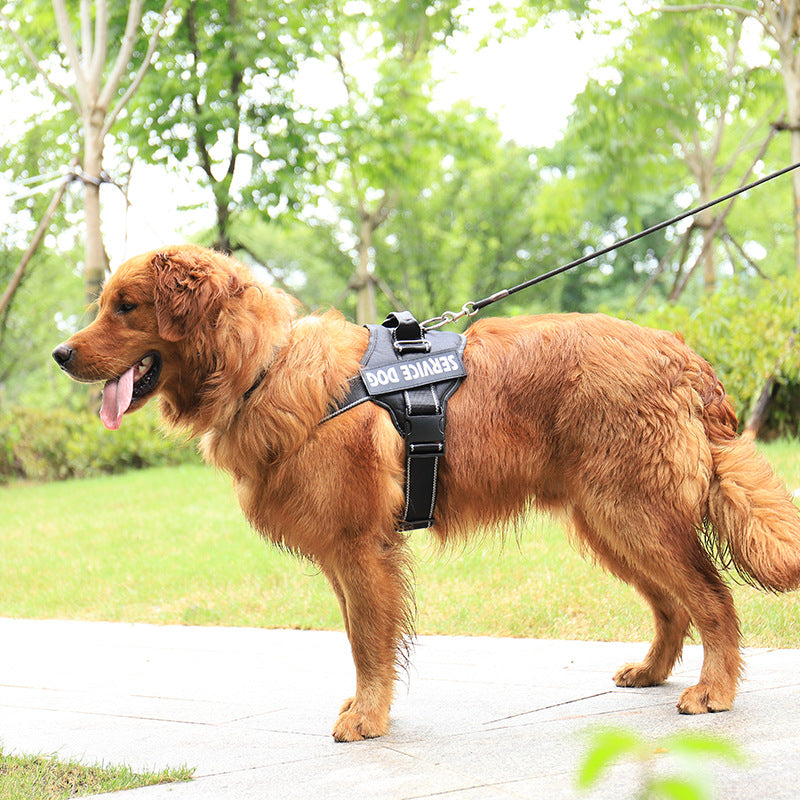 Personalization Of Pet Chest Strap Products