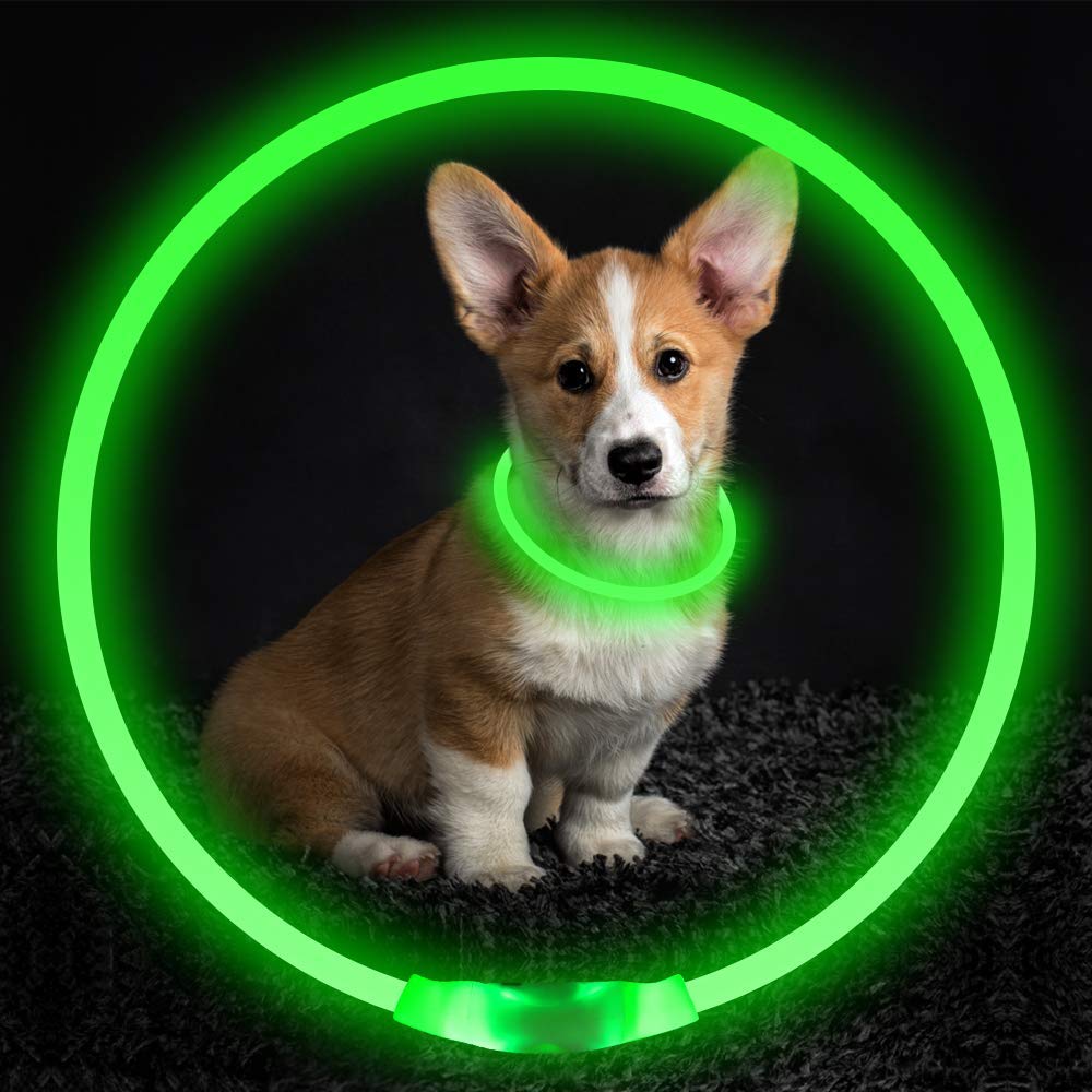 Pet Flashing Collar USB Rechargeable Glowing Necklace Safety Collar Light Up Collars For Night Walking Electric Dog Collar Neon Image