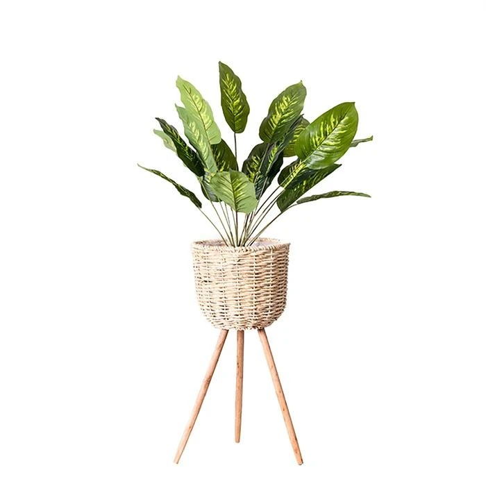 Floor - standing flowerpot straw furniture Image