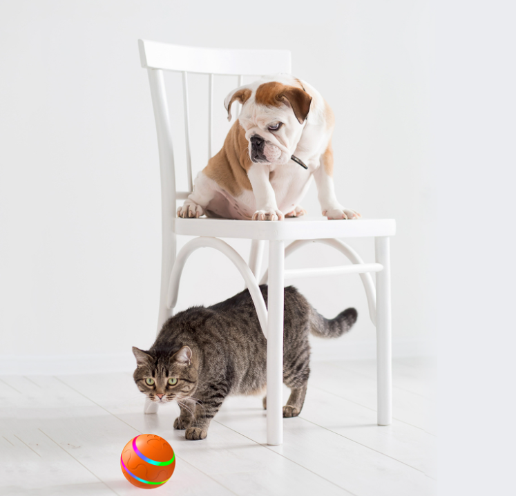 Pet New Cat Wicked Ball Toy Intelligent Ball USB Cat Toys Self Rotating Ball Automatic Rotation Ball Image