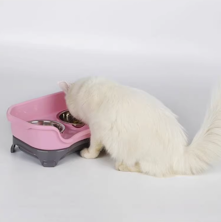 Pet food bowl Image