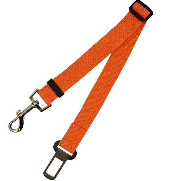 Fixed Strap Polyester Dog Strap Dog Leash Dog Leash Image