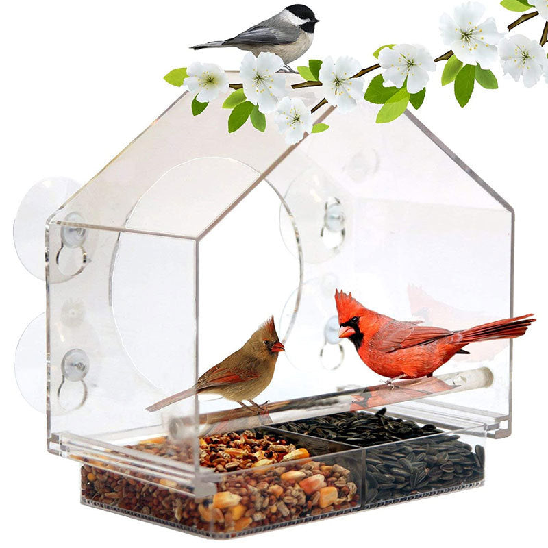 Bird Feeder Camera Live Bird Feeder Cam Bird Buddy Smart Bird Feeder With Camera Image