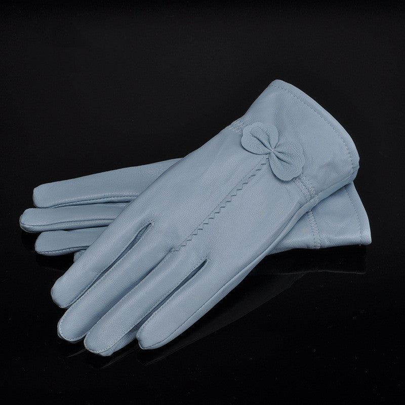 Woman Gloves Image