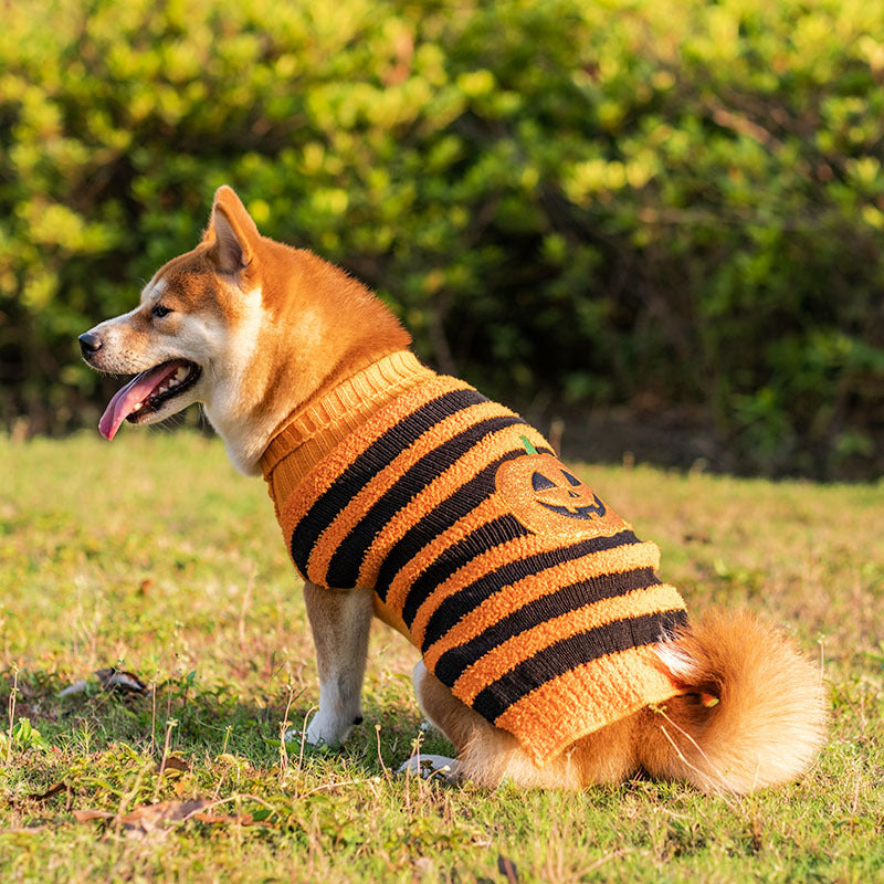 Halloween Dog Sweaters Pet Costume Teddy Warm Leisure Sweater Cosplay Clothes For Dogs Pets Outfits Image