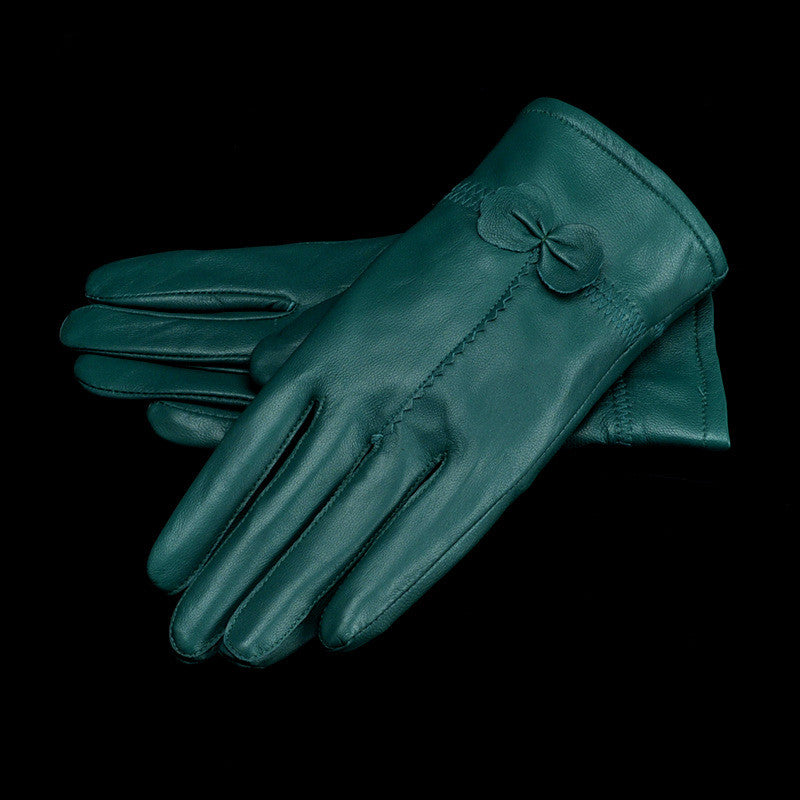 Woman Gloves Image