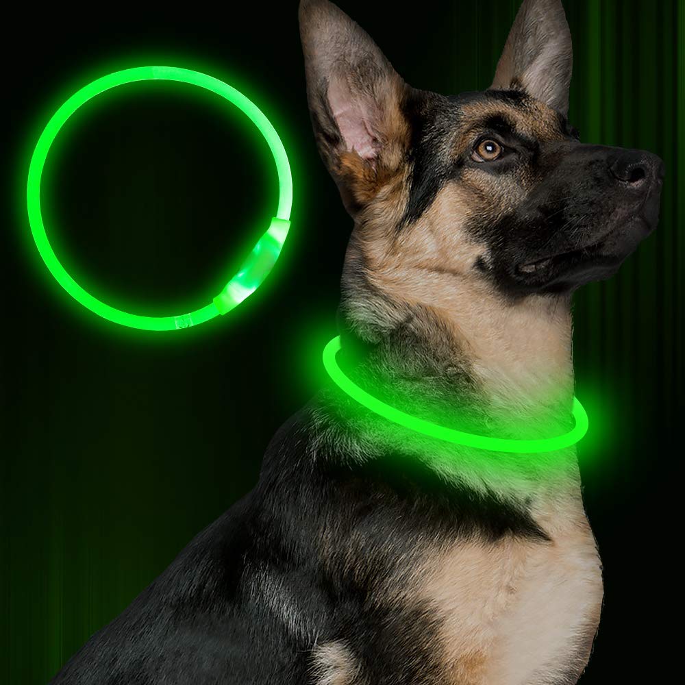 Pet Flashing Collar USB Rechargeable Glowing Necklace Safety Collar Light Up Collars For Night Walking Electric Dog Collar Neon Image