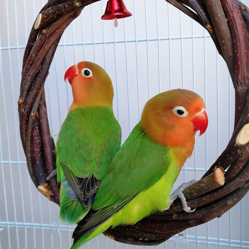 Bird Standing Frame Rattan Ring Chewing Toy Bird Cage Image