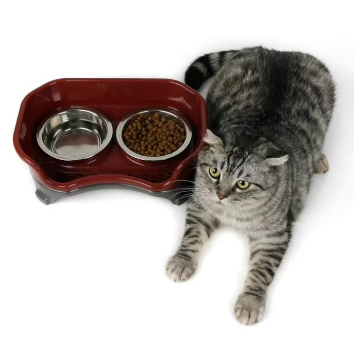 Pet food bowl Image