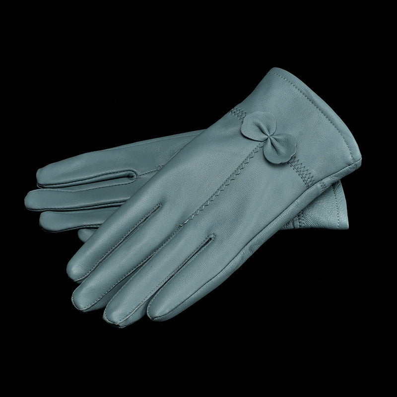 Woman Gloves Image