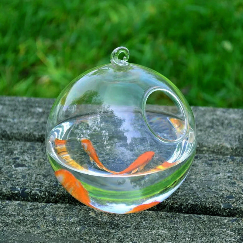 Hanging Glass Vase Fish Tank Image